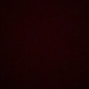 Meet your Posher, Remi😻